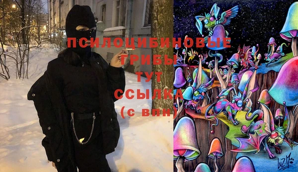 прущие грибы Алексин