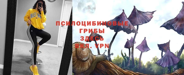 СК Абинск